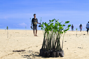 Greening Sumba's Coast: Journalists' Joint Action Demonstrates Their Love for the Earth 