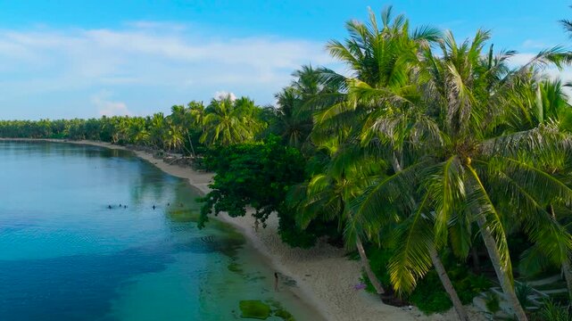 Aerial view of a tropical beach with palm trees, turquoise water, and an adult woman walking on the sand in Siargao, Philippines.