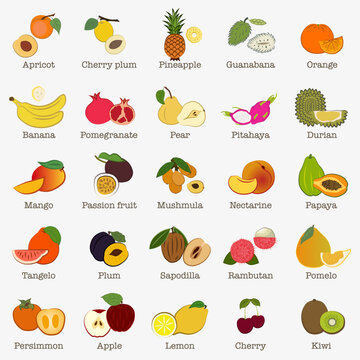 Set of illustrations Tropical and garden fruits. A set of fruits ranging from tropical to common garden fruits.