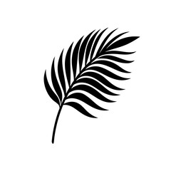 Obraz premium Silhouette of a tropical palm leaf