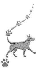 Dog paw prints trail illustration on white background.