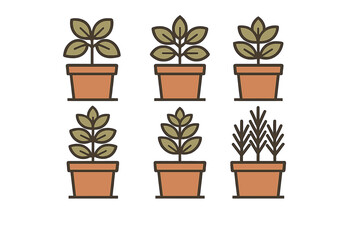Obraz premium Set of various small green potted plants and seedlings in terracotta containers