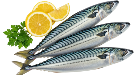 Isolated Atlantic mackerel fish fillets with lemon wedges and parsley sprigs ready to cook