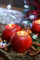 Florist at work: woman shows how to make a Christmas decoration with apple, candle and branches of fir. Step by step, tutorial.