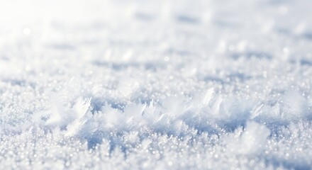 Snow Crystals Close-up