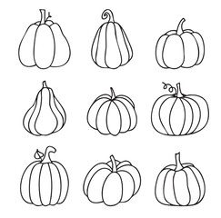 Illustration of pumpkins drawn with simple and delicate line art. Minimalist style, thin lines, suitable for Halloween design, fall decoration, or as a decorative element in vector projects, posters a