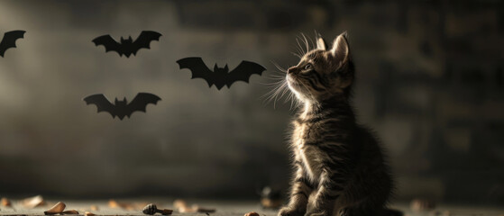 Curious kitten looking at Halloween bats
