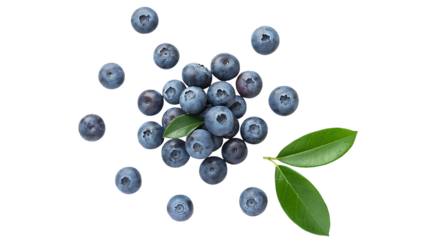 Overhead shot of fresh blueberries with green leaves isolated on transparent background, top view