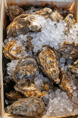 Deliciously Fresh Oysters Served on Ice Within a Rustic Wooden Box for Seafood Lovers