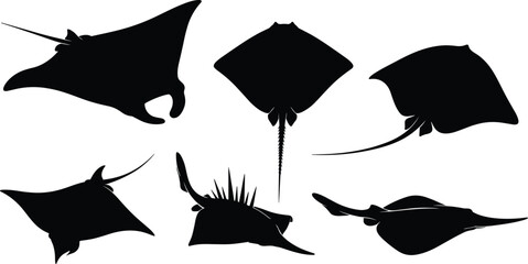 Silhouettes of Rays and Skates with Distinct Marine Shapes, Tails, Fins, and Snouts for Zoology, Biology, Ocean Life Illustration © Moury Creatives