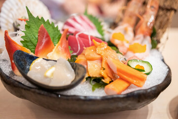 Fresh sashimi set serve on ice with wasabi Japanese style