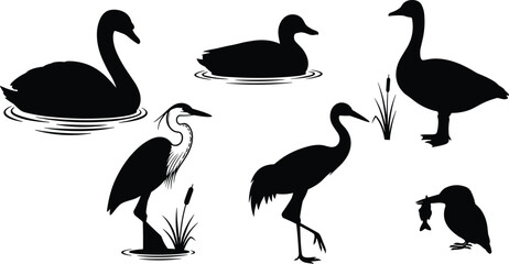 Black silhouettes of swan, duck, goose, heron, crane, and kingfisher water birds with ripples, cattails, grass, and fish illustration