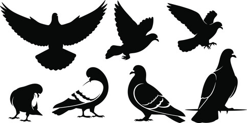 Black pigeon bird silhouettes in flight and perched positions, detailed vector illustration set showing various poses for wildlife, nature, urban themes