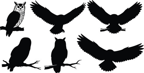Black owl silhouettes collection with flying and perched birds, wildlife nocturnal animals, vector illustration set for nature, forest, Halloween themes