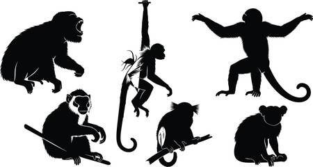 Black monkey silhouettes set with various poses, sitting, climbing, hanging, standing, animal vector illustration collection for wildlife design themes