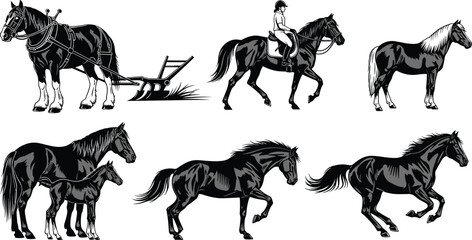 Black and white horse illustrations showing farming, riding, rearing, galloping, standing, foal with mare, equestrian work, dynamic movement, agriculture, animals