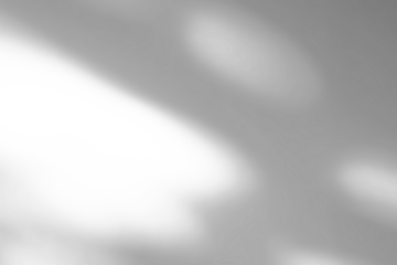 Abstract natural tree branch leaves shadow on white wall background