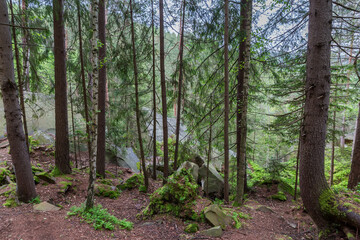 Section of mountain forest with big stone scatterings in overcast