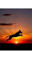 Silhouette of a dog leaping against a vibrant sunset backdrop.