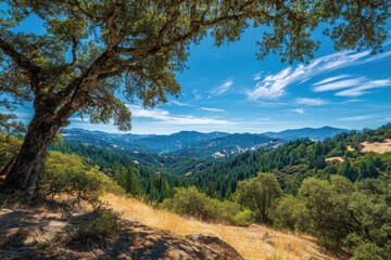 Obraz premium California-Los Gatos Summer Landscape: The Serene Beauty of West Coast Nature