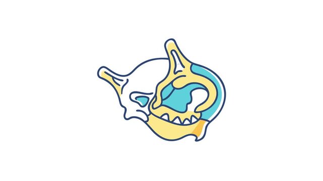 Stylized animal skull illustration with blue and yellow details