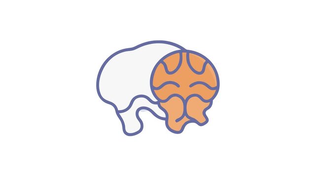 Minimalist flat vector human brain illustration against white background