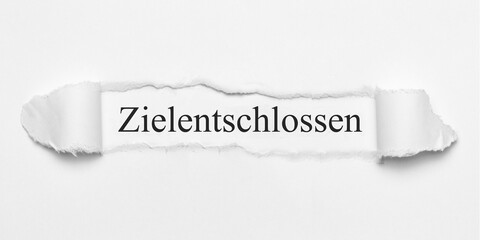 Zielentschlossen	
