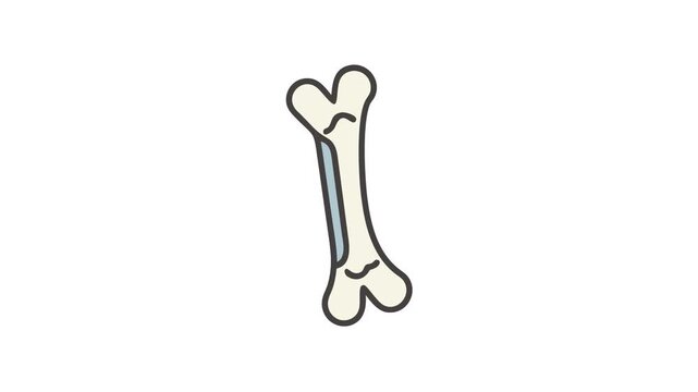 Cartoon dog bone on a white background simple icon
