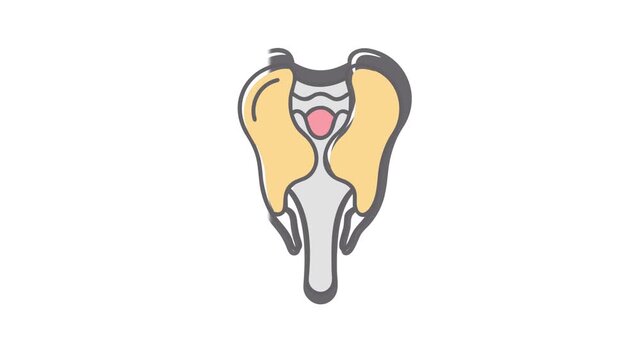 Minimalist Thyroid Gland Illustration on a white background