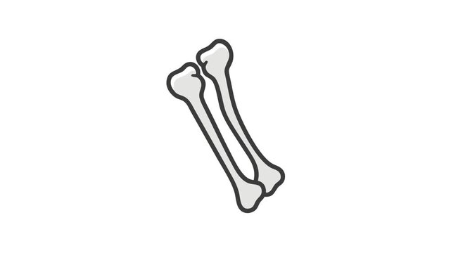 Cartoon style bone illustration on a white background