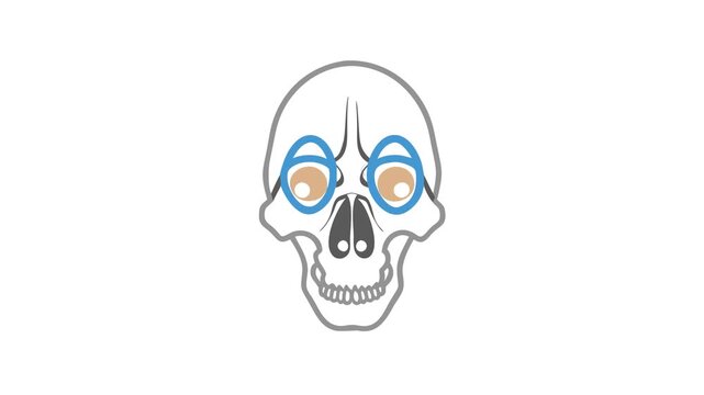 Cartoon skeleton with glasses in a simple flat style