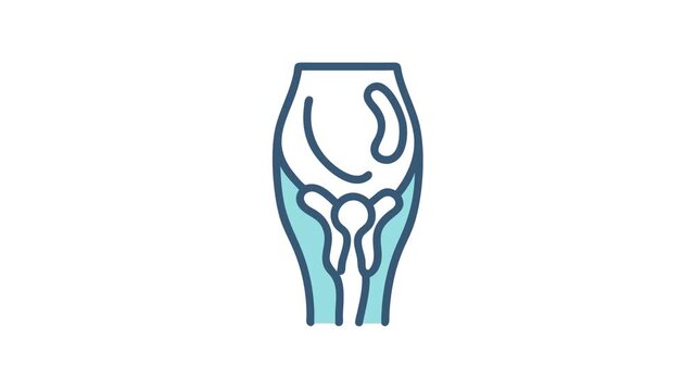 Stylized uterus and fallopian tubes illustration on white background