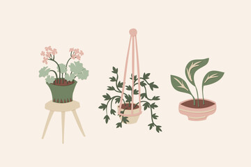 Cozy Indoor Houseplants Collection Vector Illustration With Hanging Plant Geranium And Decorative Pot