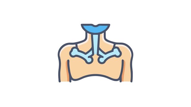 Anterior chest illustration featuring sternum clavicle and first ribs