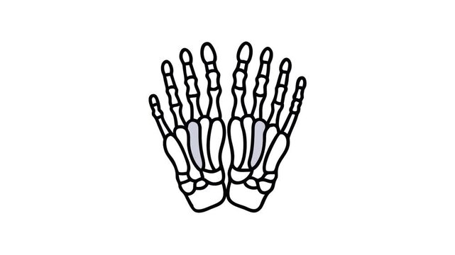 Cartoon skeleton hands on white background Halloween concept illustration