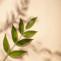 Green leaf branch with soft shadow on textured beige background