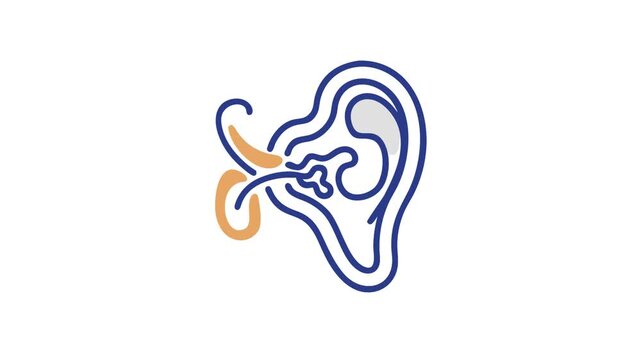 Stylized ear anatomy with blue outlines on white background