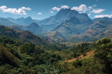 Naklejka premium Madagascar Vanilla. Beautiful African Mountain Landscape with Dense Bush