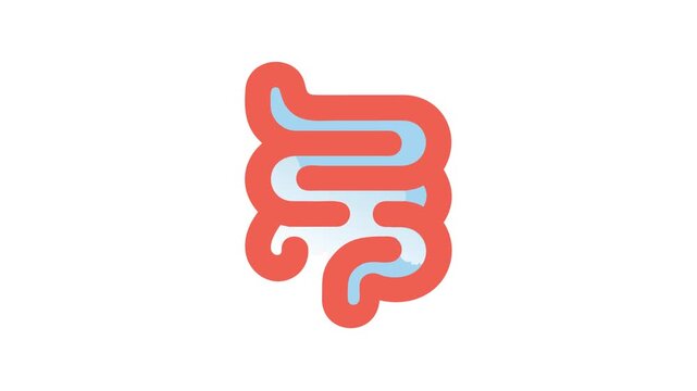Flat style illustration of a human digestive system organ
