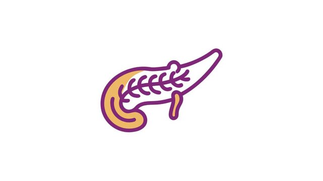 Human pancreas illustration in flat style on white background