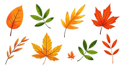 Fototapeta premium set of autumn leaves