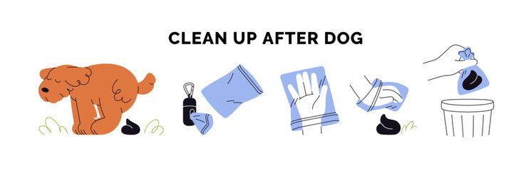 Clean up after dog. Pet owner picking poop, feces with bag, throwing pets waste into trash bin. Cleaning, cleanup and hygiene rules, infographic. Flat vector illustration isolated on white background.