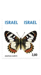 Israel Stamp Featuring Anaphais Aurota Butterfly, Collectible Philatelic Item.