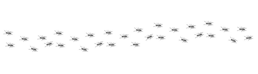 Ant trail. Walking group of black insects. Line of worker ants marching in search of food. Curve footpath of home pest isolated on transparent background. Vector