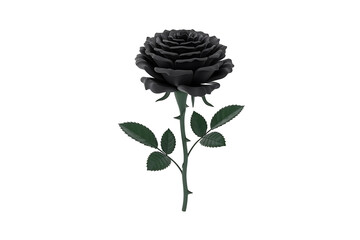 A striking black rose blooms, its dark petals and stem evoke mystery and somber beauty.