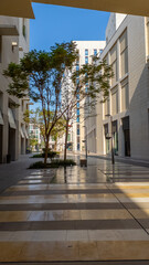 Tree-lined pedestrian zone in Msheireb Downtown Doha, Qatar, framed by geometric shade canopies and modern sustainable buildings, innovative Gulf urban design.