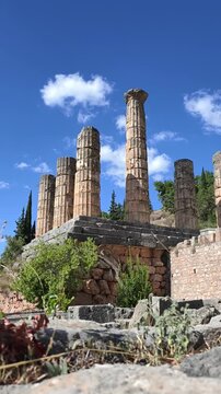 Historic row of ancient stone columns at the archaeological site of Delphi in Greece, with mountains and pine trees in the background. This UNESCO World Heritage site 