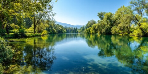 Fototapeta premium Tranquil Lake Landscape with Vibrant Green Trees and Serene Blue Sky in a Peaceful Nature Scene