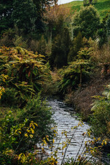 Fotografía de la naturaleza en Putaruru Blue Spring en Nueva Zelanda.