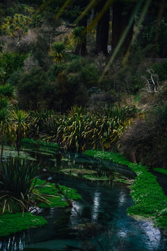 Fotograf&iacute;a del agua en Putaruru Blue Spring en Nueva Zelanda.